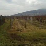 Tiffan's Pinceszet Es Panzio Gasthof 3*