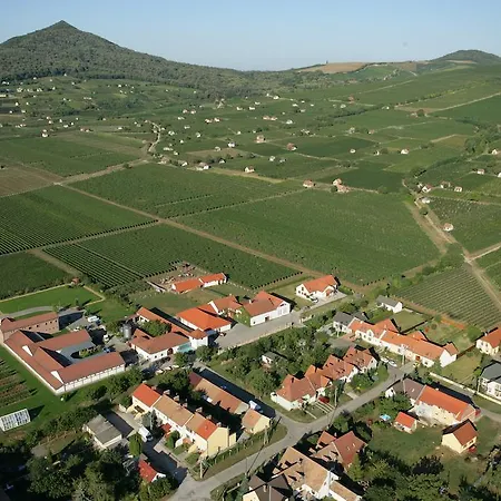 Tiffan's Pinceszet Es Panzio Penzion Villány
