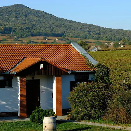 Tiffan's Pinceszet Es Panzio Gasthof 4*
