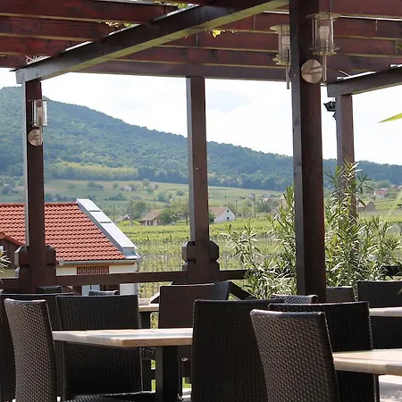 Tiffán's Pincészet és Panzió Vendégház Villány