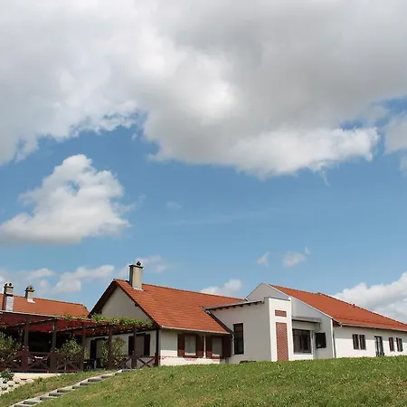 Tiffan's Pinceszet Es Panzio Penzion